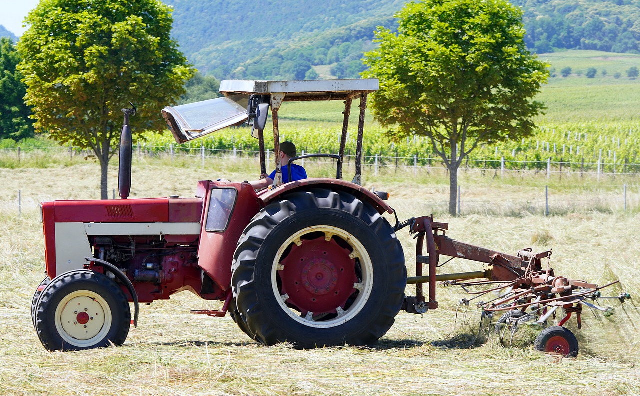 Best Eco-Farming Techniques to Maximize Crop Yield
